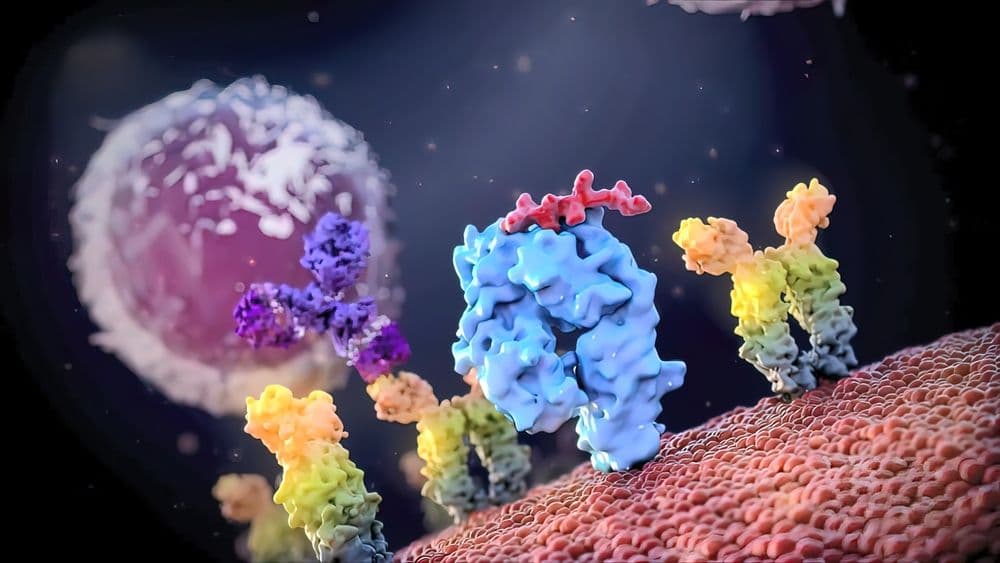 Ac rcp cell Depositphotos_557372514_S.jpg