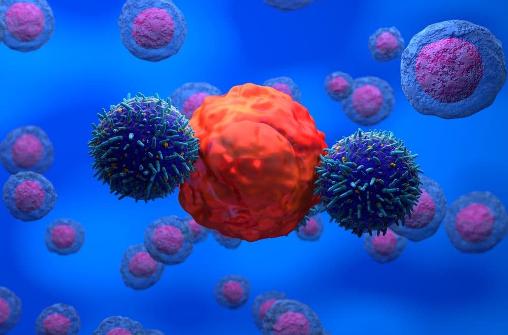 car t cells cytotoxicité.jpg