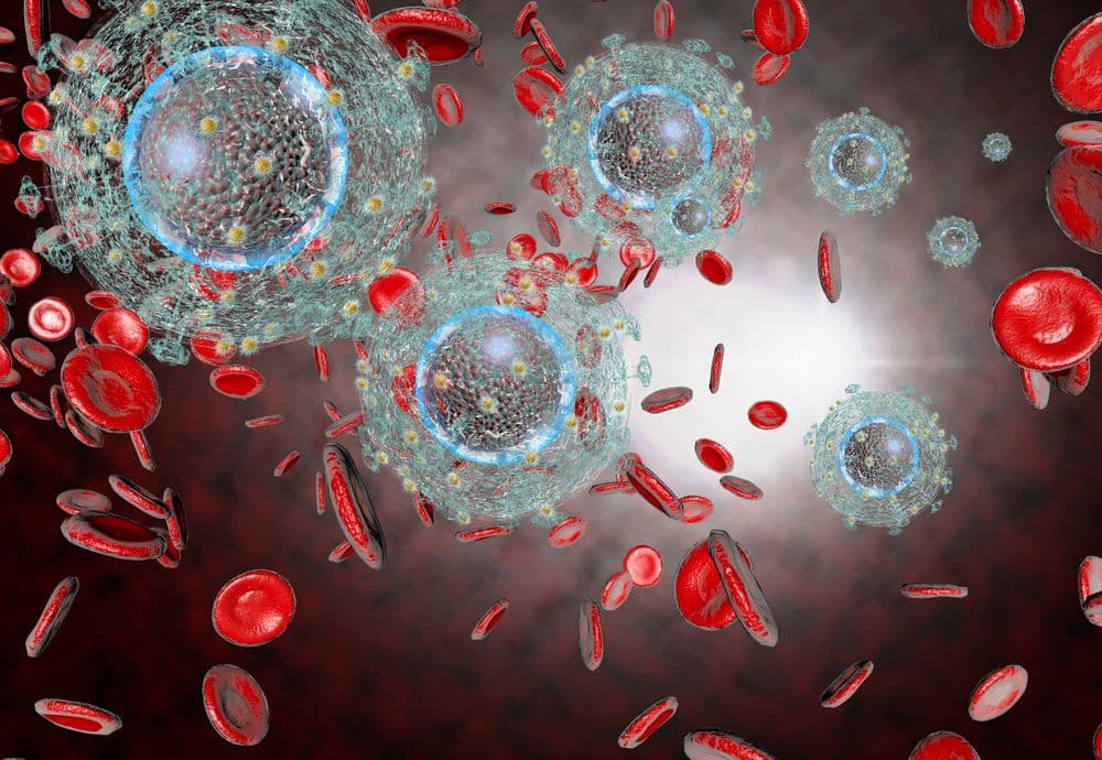 lymphocyte CD8 Depositphotos_85619214_S.jpg